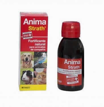 ANIMA STRATH 100ml (Stangest)