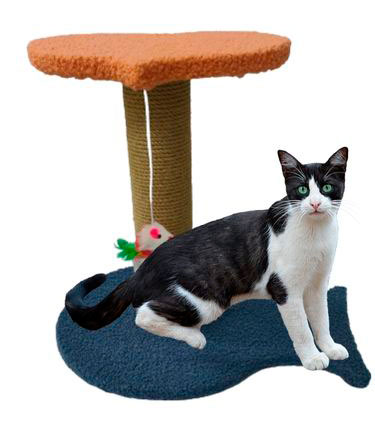 RASCADOR HEART 36X26X32cm QBR006