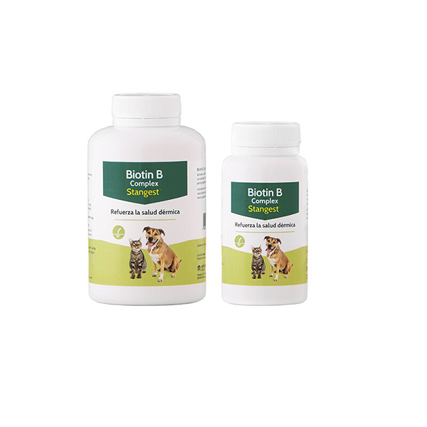 BIOTIN B COMPLEX 100 CP (Stangest)