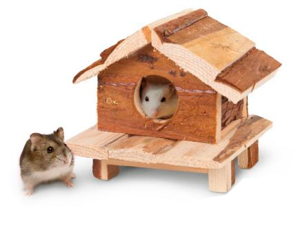 KARLIE CASA ROEDOR BAHIA HUDSON 14X10 84203